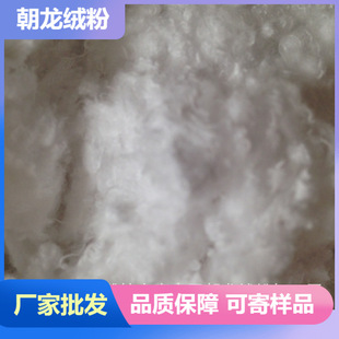 �S�ҹ����������I�켈 ����ë���q �ļ��m���w�S�����l �̽qϵ��