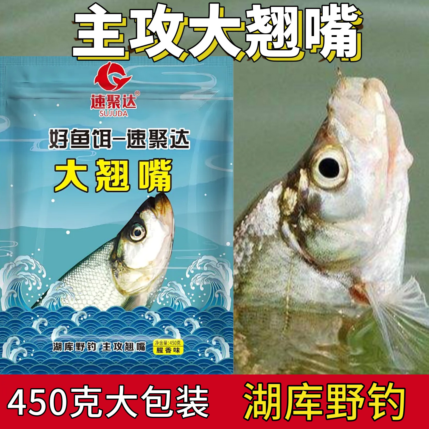 微信图片_20250527173126