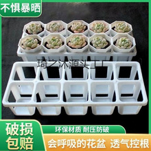 �¿����M���бP��ɫ10���м�7������Ӹ��̨����˽�ƴ�Pһ�w