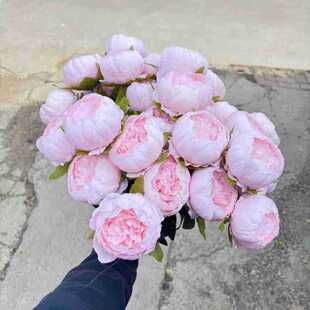 ����7�^��оĵ�� ����ĵ�� �ҾӲ������[������ �͹�ӰƬ�Ĕz�쾰