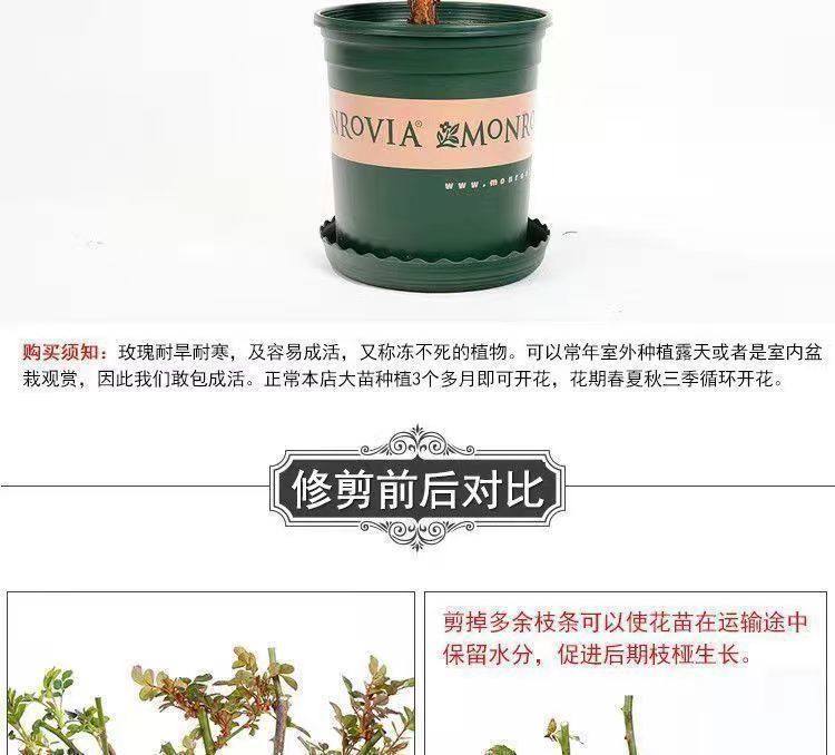 0ac3b48f-e976-48d9-84c0-92a74cdeb1c6.jpe