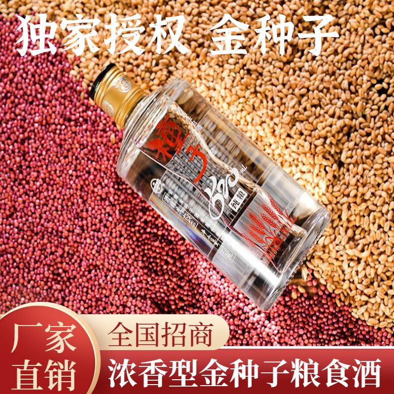 【全国招商】金种子种子酒纯粮520浓香型白酒42度520mL*12瓶/箱