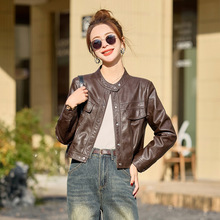 春秋海宁真皮皮衣女装短款立领休闲小个子宽松外套绵羊皮女士上衣