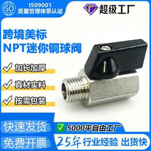 �羳���� NPT �����~���y ���L�Ӻ��S�~�y�w�͸߉���й©���Sֱ��