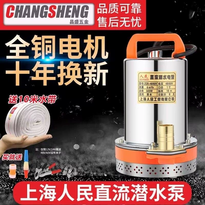 Shanghai People's 12V 24V 48V Water pump