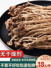 36.6元500g新鲜农家茶树菇干货不开伞茶薪菇250g非特级香菇蘑菇