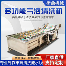 葡萄千禧果气泡清洗机 柿子李子樱桃全自动清洗设备 果蔬清洗机