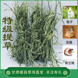 2024 New Sun Dried Special Timothy Grass Dutch Pig Hay Feed Totoro Guinea Pig Rabbit Food Forage Rabbit Grass
