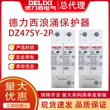 德力西浪涌保护器家用避雷器DZ47Y-40/2P-385防雷器20KA65KA