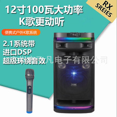 RX-P10X203新製品ダブル10インチ屋外室内ハイパワーbluetoothスピーカーDSPサラウンドスピーカー