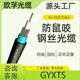8芯防鼠光缆gyxts-8b1 中心管钢丝铠装单模光纤  8芯