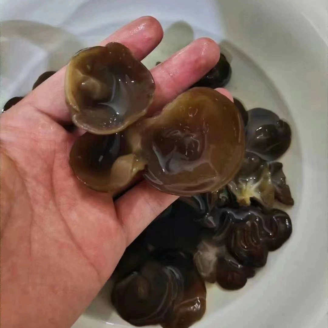 Горячие продажи в реках и озерах