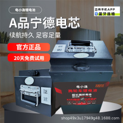 电动车锂电池48V60V72V磷酸铁锂电池两轮车专用大容量铁锂电池