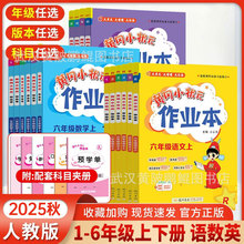 2025���S��С��Ԫ���I��һ�꼉�����������꼉�σ��˽̰�ͬ������