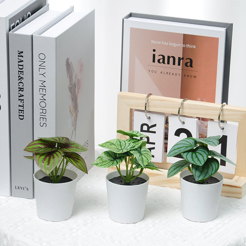 Pequeñas plantas verdes en maceta mini decoración de pared flores falsas hojas escritorio interior librería decoración de plantas verdes