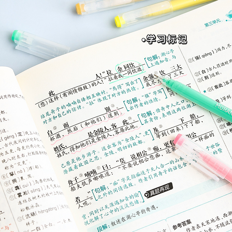 蓝果手帐笔大容量标记笔彩色中性笔莫兰迪系9色套装美颜肤色彩笔|undefined