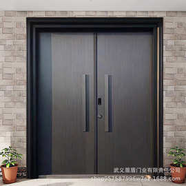 大门农村自建房入户门防盗门别墅大门双开门豪华自建房大门子母门