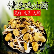 鸡油菌干货榆黄蘑新鲜黄金菇无干燥剂煲汤食材家庭装鸡油菌