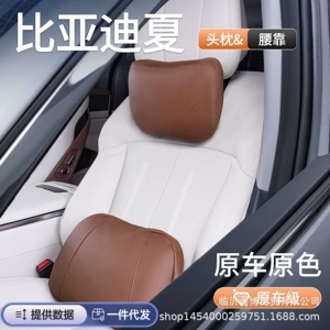 Byd Xia Dmi Başlıq və Bel Dəstəyi, Xüsusi Daxili Aksesuarlar