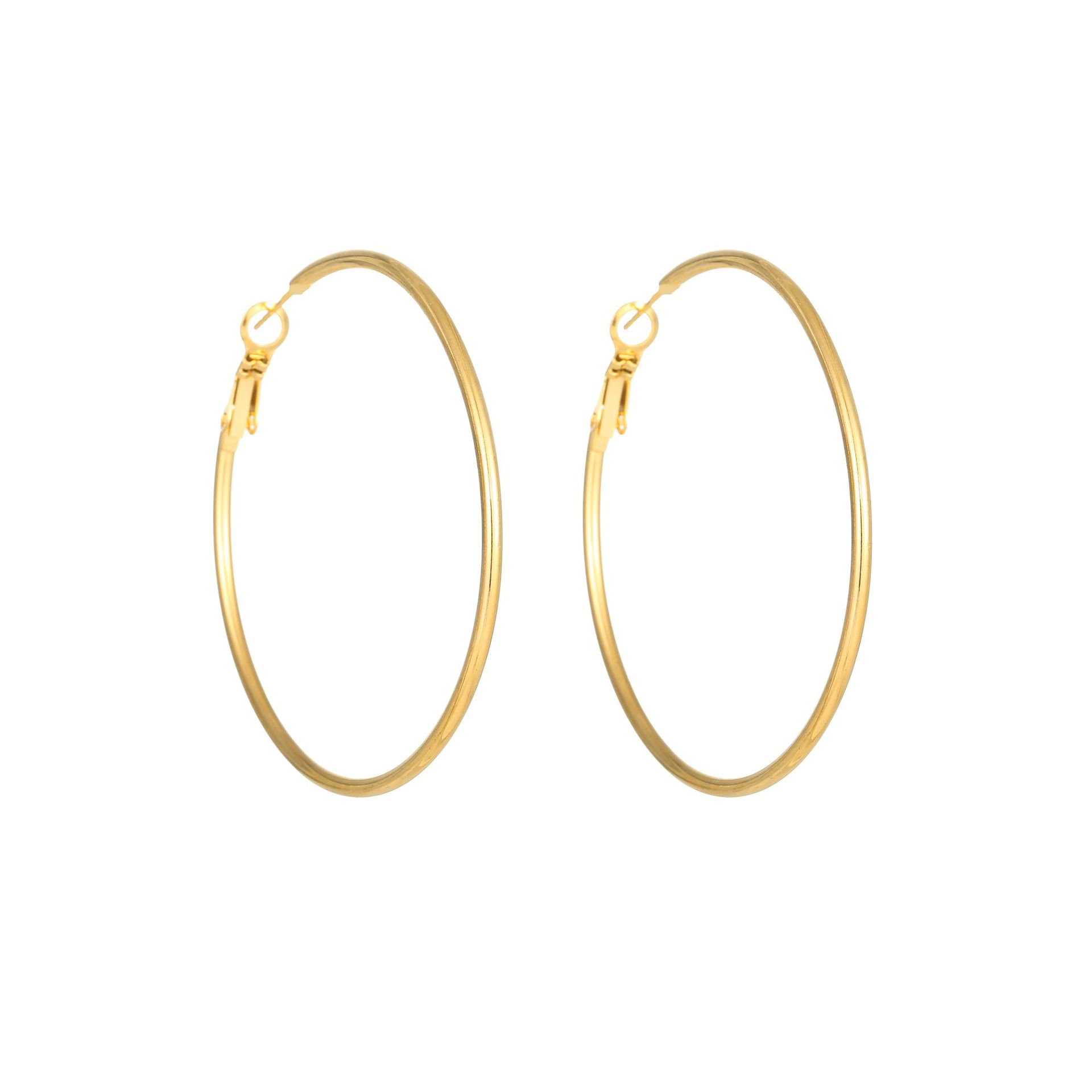 1 Paire Style Simple Géométrique Placage Acier Au Titane Des Boucles D'Oreilles display picture 16