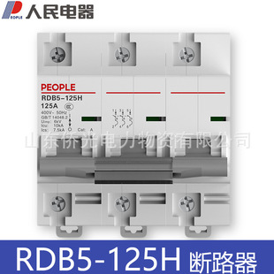 People's electrical DZ47-125 high-power circuit breaker 2P3P100A125A air switch RDB5-125H
