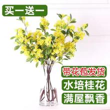 ˮ𻨎_rлԻ҃rGֲmˮBĻ