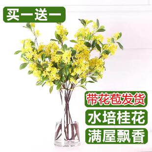 ˮ𻨎_rлԻ҃rGֲmˮBĻ