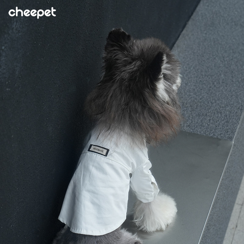 Pet four -seasons pure white tie shirt Shineri Malzis dog festival official lapel two leg dresses 4