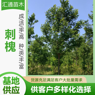 10-20���ִ̻�ͥԺ�G���е���̻������ľ���̾G����ľ�S�ҹ���