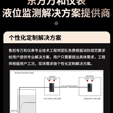 明星同款whsensors高测量精度水位实时显示智能单光柱测控仪