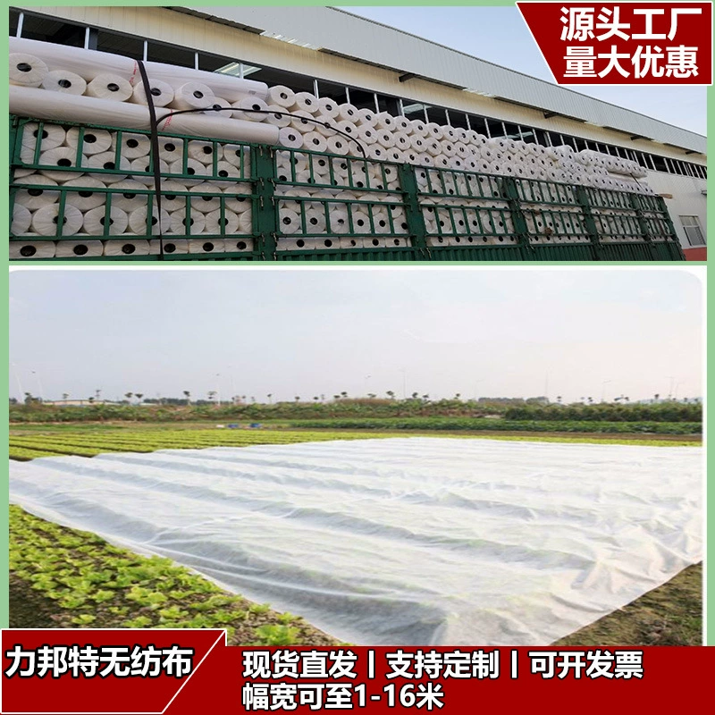 Производство сельскохозяйственных овощей газон саженцы для защиты от холода и морозов