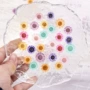 手工压花制作干花吊坠