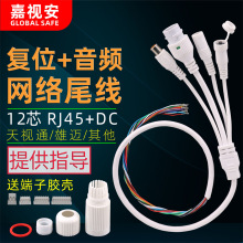 网络监控摄像头白色防水尾线12芯带指示灯RJ45+DC+音频+复位键线