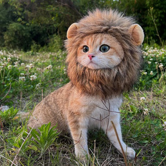 国境を越えたペットライオンの頭セット猫犬お笑い販売萌えかつら帽子ライオンの頭セットハロウィーン変身服