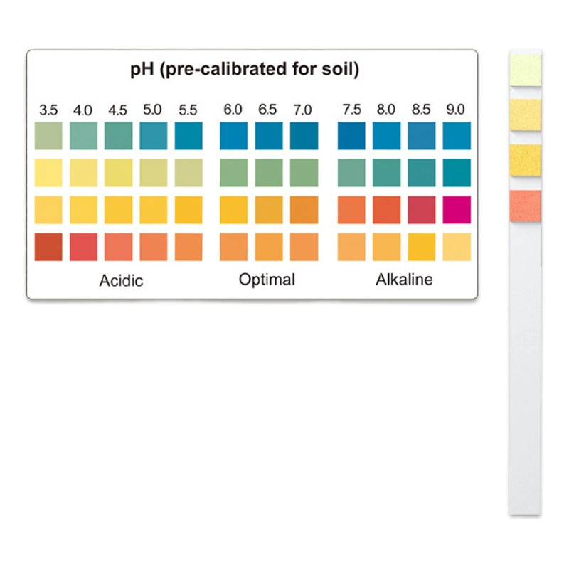 Значение pH почвы 3,5–9, экспортная торговля, трансграничная электронная коммерция, выбор самых продаваемых товаров на Amazon, 100 тест-полосок