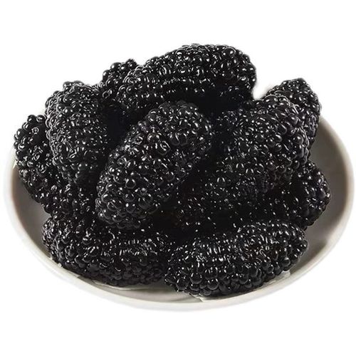 Dried Mulberry New Arrival Wholesale 250g Sand-Free Mulberry Dried Fruit for Fruit Tea, Snacking, Large Granules Black Mulberry Dried Fruit