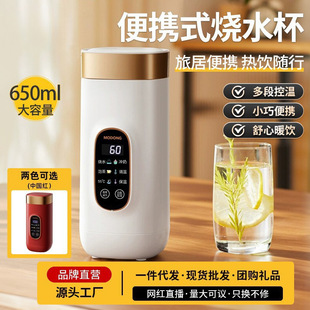Portable Mini Dormitory Travel Burning Water Cup Small Electric Heating Stainless Steel Thermostatic Thermal Pot