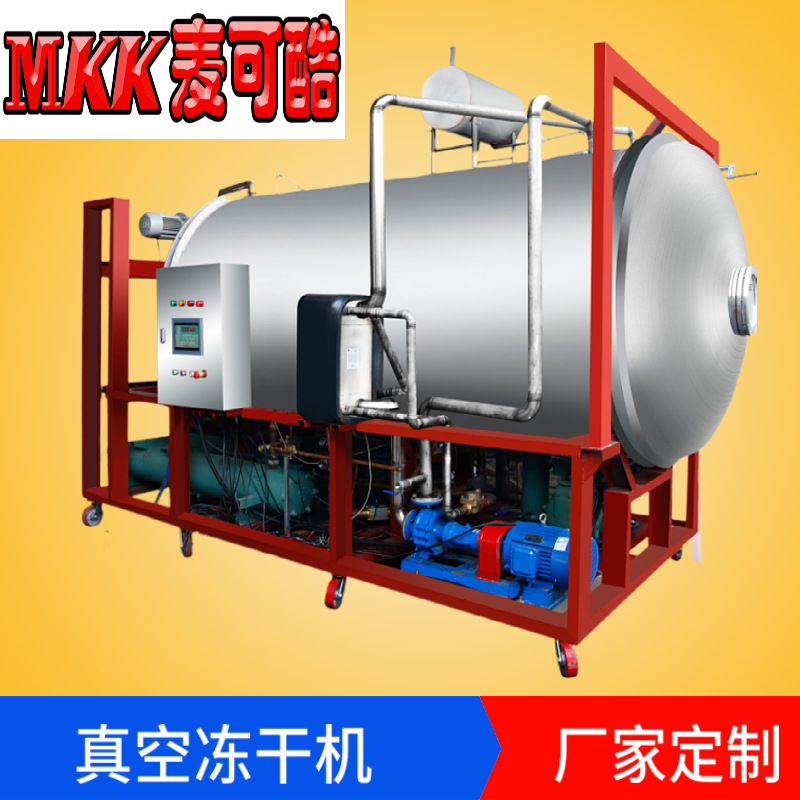廠家定制 商業真空凍幹機 新型果蔬冷凍幹燥機 草莓凍幹機批發