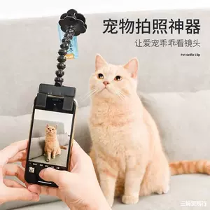 Интернет-знаменитость, фотография домашнего животного, артефакт, кошка и собака, взгляд на объектив, палка для захвата фото, зажим для телефона, реквизит для фотосессии с котом, зажим для селфи