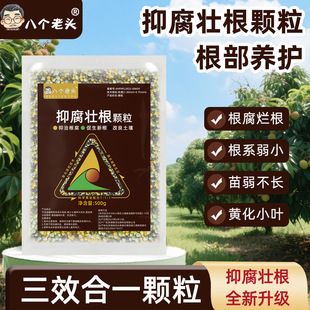 Anti-Corrosion and Root-Strengthening Granules, Prevention and Treatment of Rotten Roots, Green and Dead Roots, Nourishing Roots, Seedling-Strengthening Trees, Fertilizer, Microbial Agent, Bacterial Fertilizer