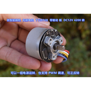 DC12V Ĥ��oˢ늙C TY3816B ΢�� ֧�������D PWM �{�� �R�_