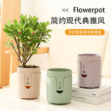 透气树脂塑料花盆大号家用自动吸水绿植花盆盆栽加厚耐用四季盆子