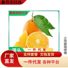 �����R��ӿȪ����������o�����Ә���޽ӟo�Ѹ��ٽ����箔��Y��