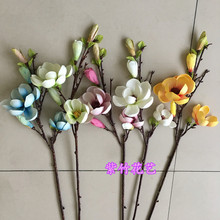 ����٘Ӱ巿��ו����ָІ�֦���S�t�{�[�Ż�ˇС��Ƥ��ľ�޻�֦
