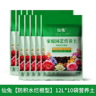 ���àI�B���B��ͨ���ͼ������Ի��܌��������������Nֲ������̿��