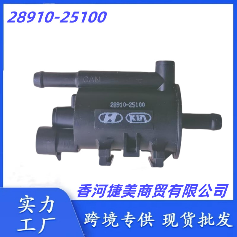 2891025100 28910-25100 for Hyundai Kia Canister Solenoid Valve