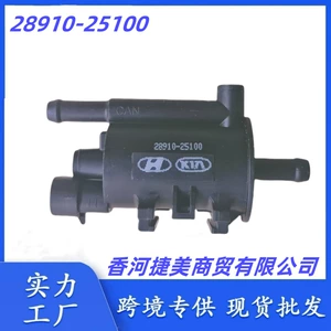 Hyundai Kia üçün Kanister Solenoid Valfı 2891025100 28910-25100