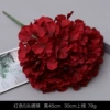 5 Hydrangea-Big Red