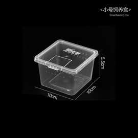 跨境人渣盒爬虫箱螳螂跳蛛养蚕饲养盒爬行动物睫角寄居蟹饲养箱