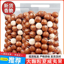 wĹɹԹleʳ؛ԹĹɢb